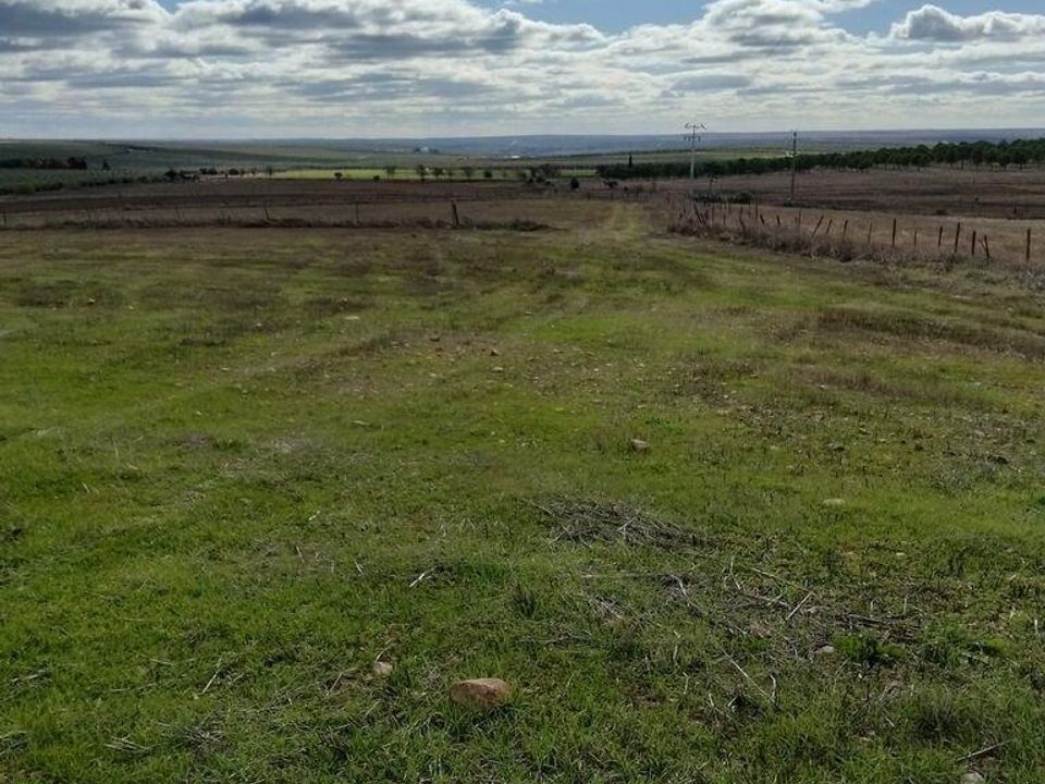 Helårsgrund i Beja, Beja - foto 3