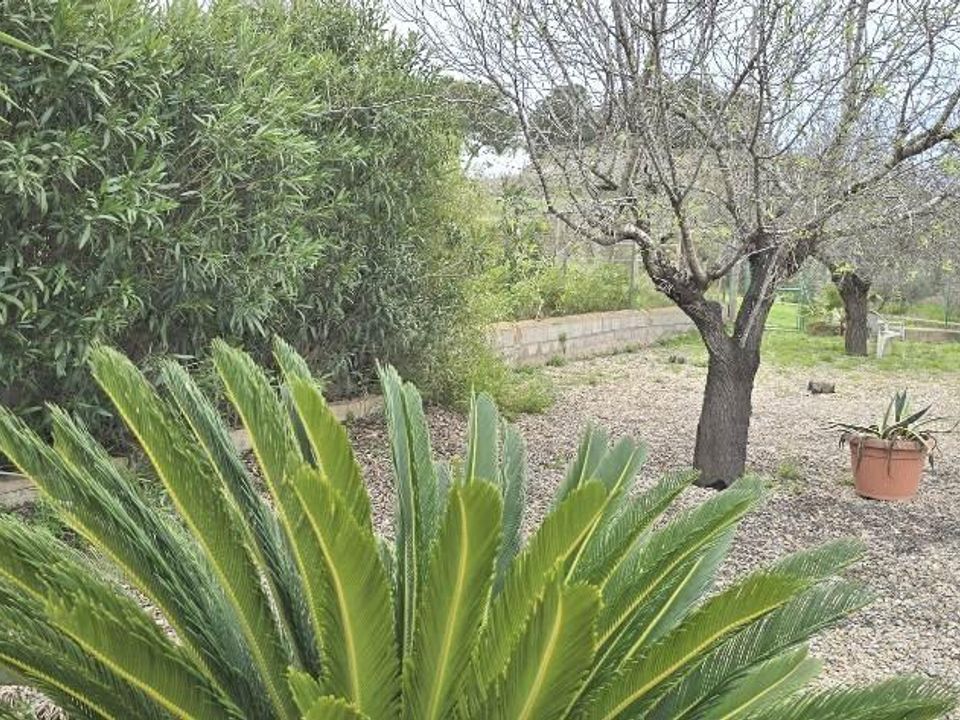 Landejendom i Cartagena, Murcia - foto 5