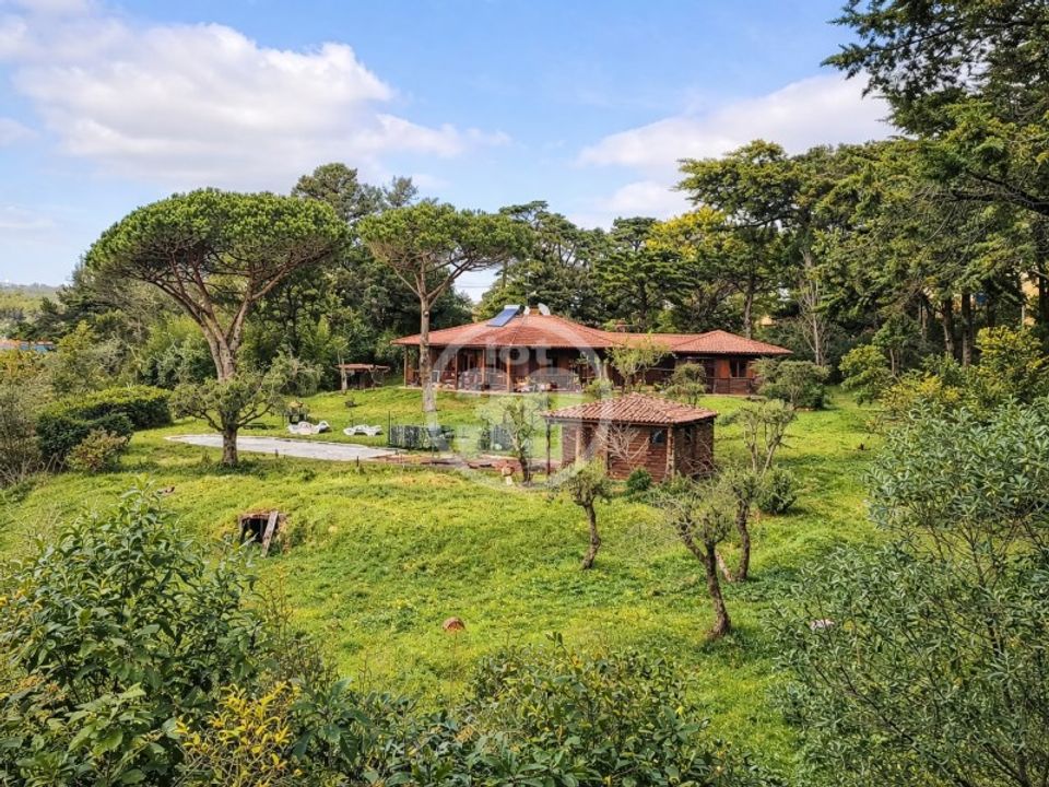 Farm i Sintra, Lisbon - foto 4