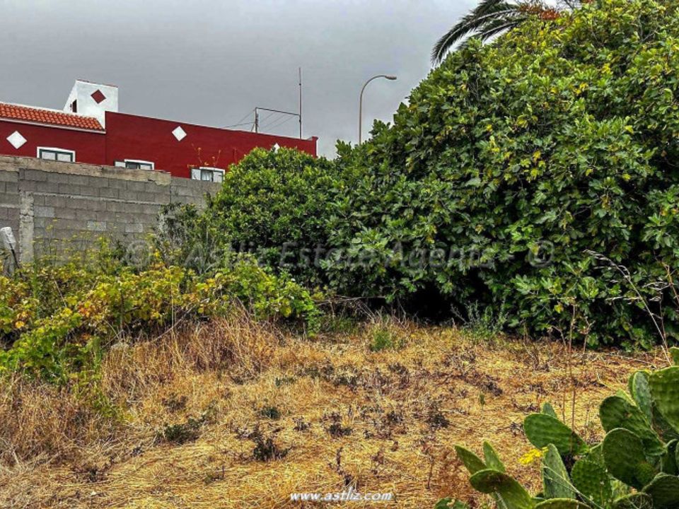 Helårsgrund i El Palmar, Tenerife - foto 5