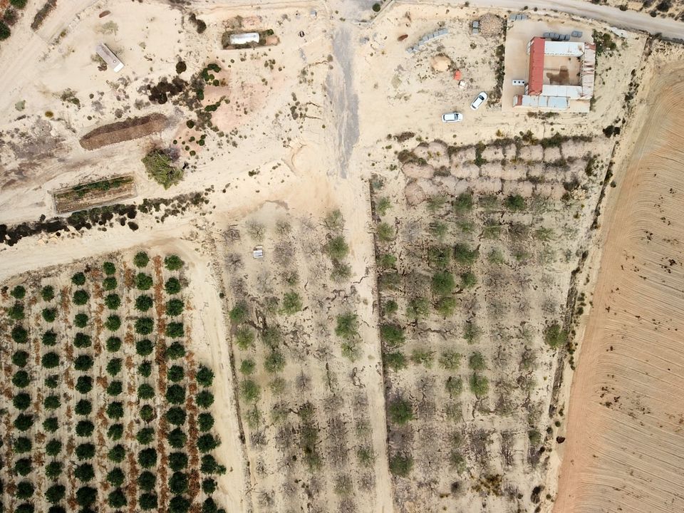 Helårsgrund i Torremendo, Alicante - foto 2