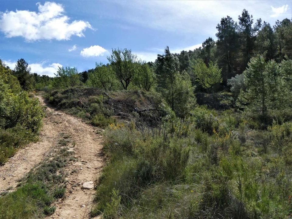 Finca i Arens De Lledo, Teruel - foto 3