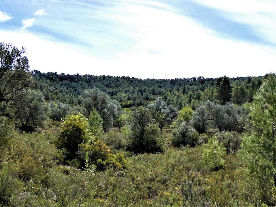 Finca i Arens De Lledo, Teruel - foto 2