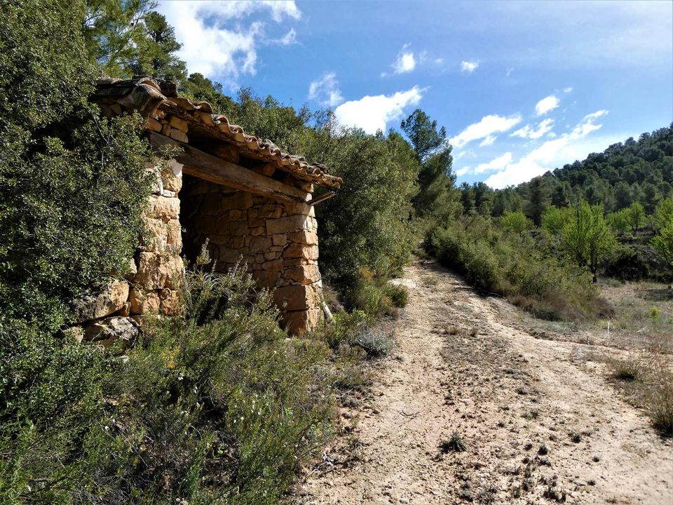 Finca i Arens De Lledo, Teruel - foto 1