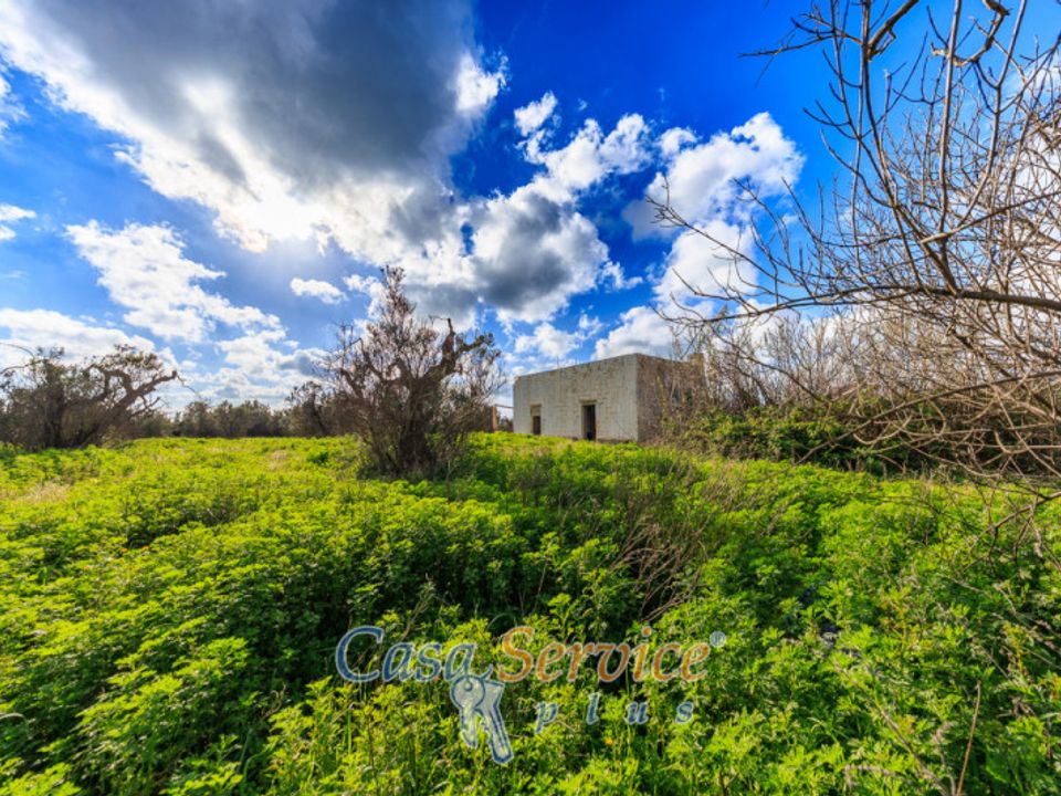 Tomt i Alezio, Lecce - bilde 4
