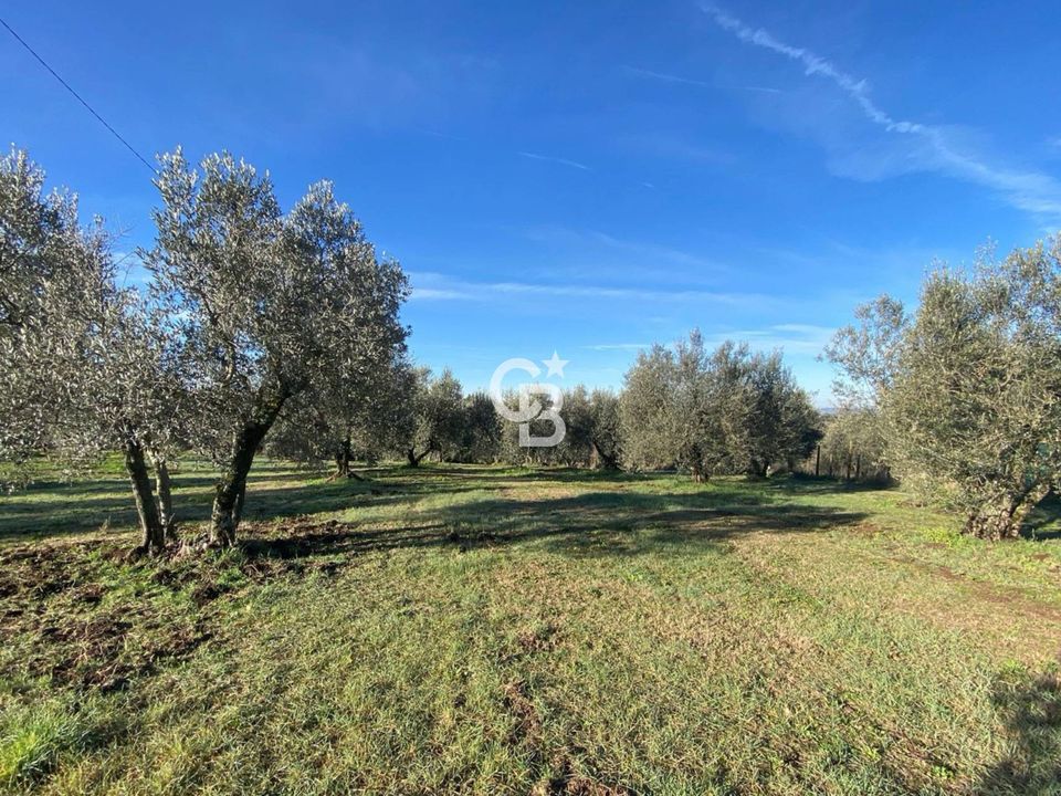 Helårsgrund i Viterbo, Viterbo - foto 1
