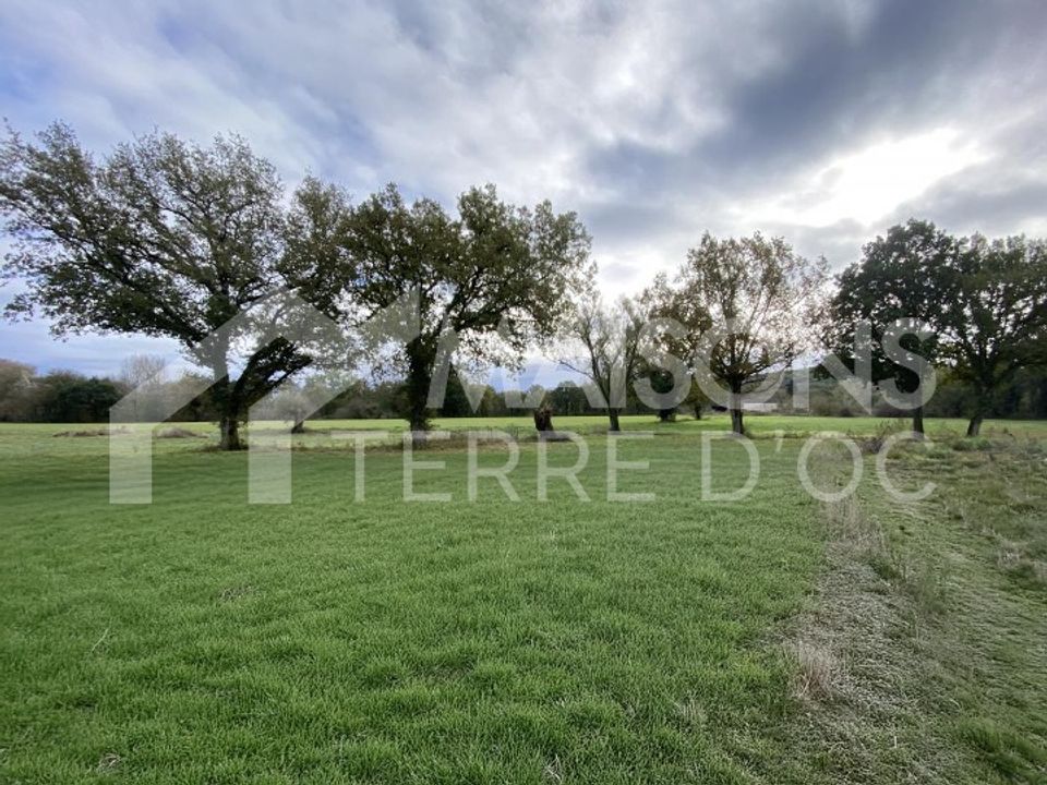 Terra a Vielmur-sur-Agout, Tarn - foto 1