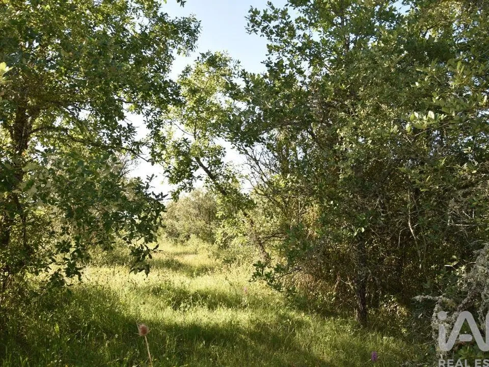 Helårsgrund i Ferreira do Zezere, Santarem - foto 2