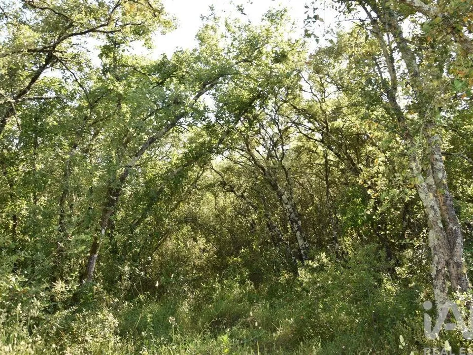 Helårsgrund i Ferreira do Zezere, Santarem - foto 3