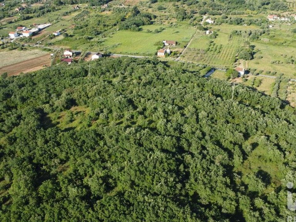 Helårsgrund i Ferreira do Zezere, Santarem - foto 5