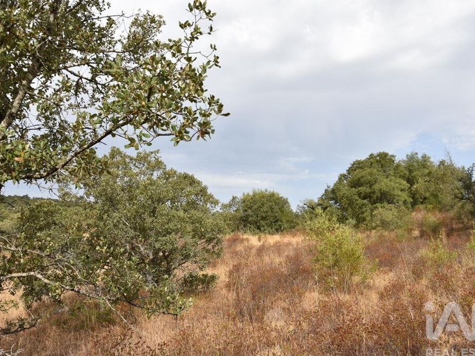 Helårsgrund i Ferreira do Zezere, Santarem - foto 1