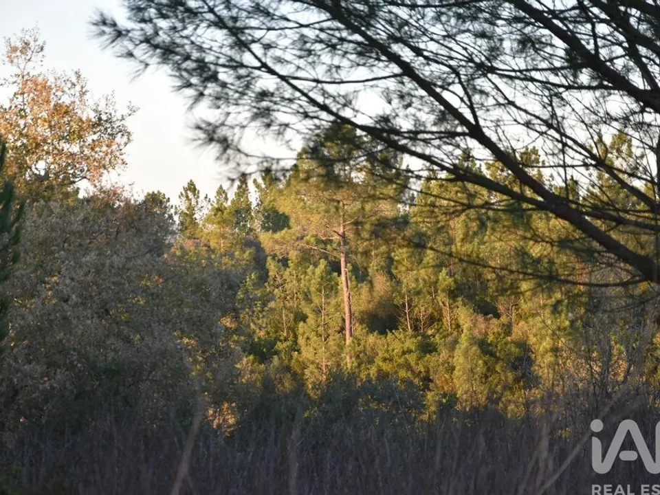Helårsgrund i Ferreira do Zezere, Santarem - foto 2