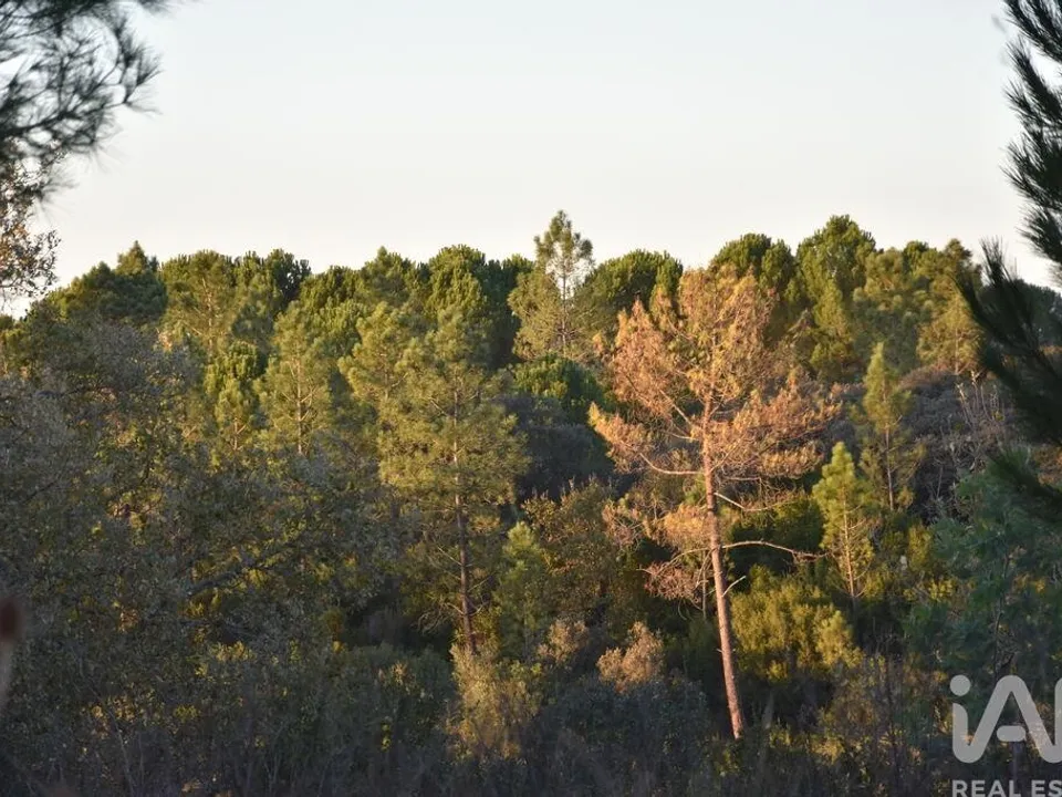 Helårsgrund i Ferreira do Zezere, Santarem - foto 3