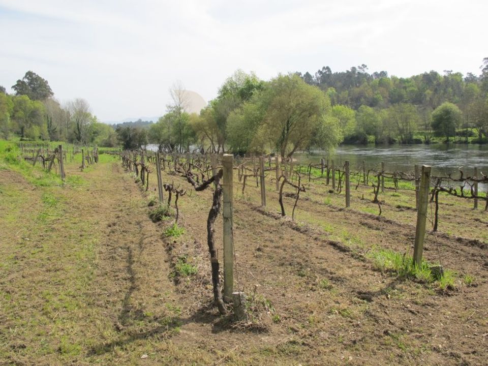 Helårsgrund i Arcos de Valdevez, Viana do Castelo - foto 2