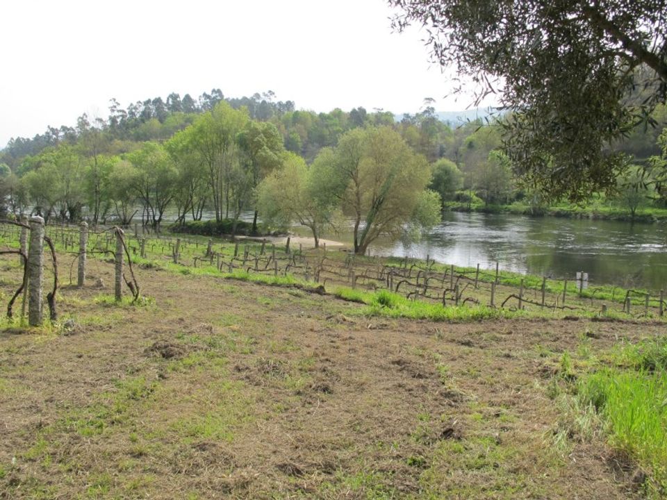 Helårsgrund i Arcos de Valdevez, Viana do Castelo - foto 5