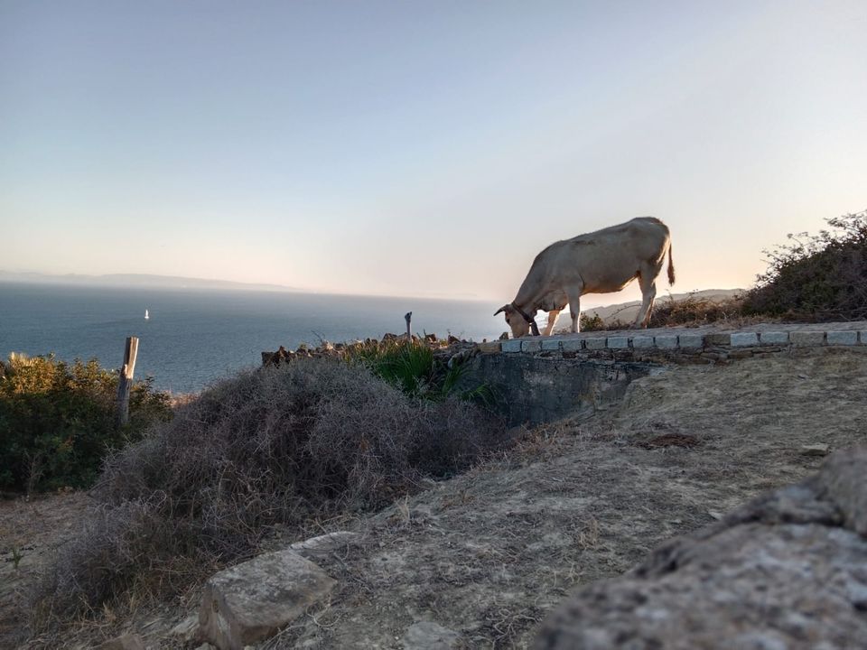 Helårsgrund i Tarifa, Cadiz - foto 2