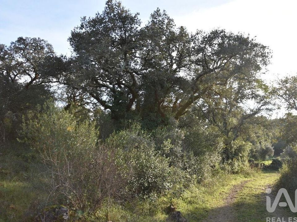 Helårsgrund i Ferreira do Zezere, Santarem - foto 3