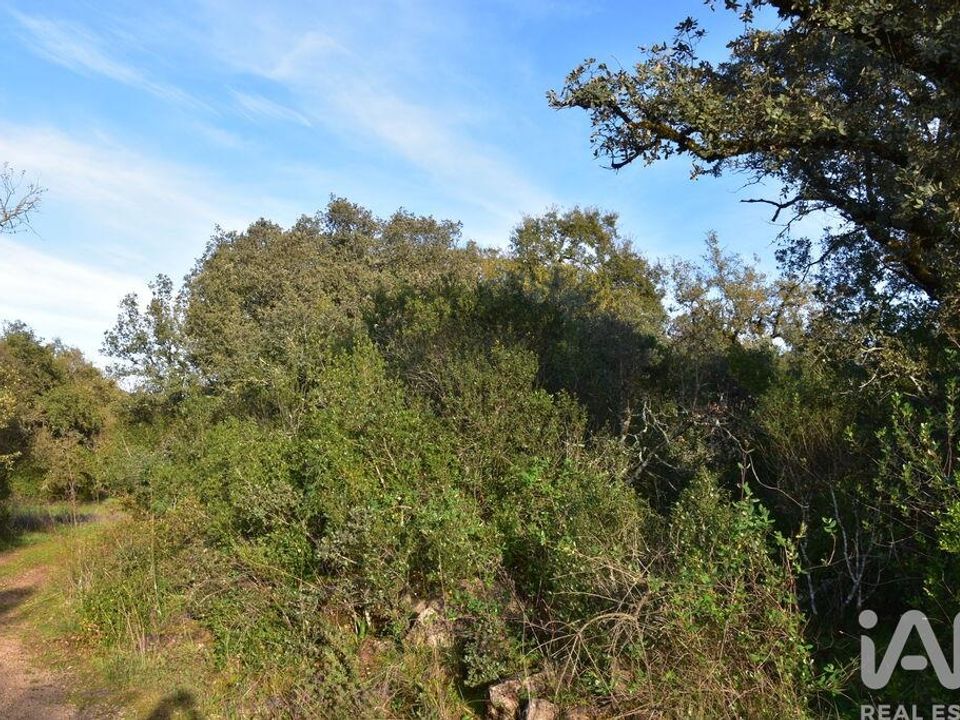Helårsgrund i Ferreira do Zezere, Santarem - foto 4