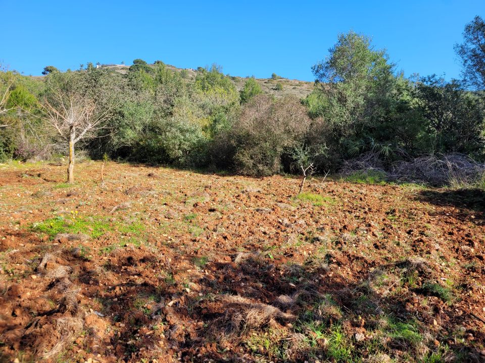 Helårsgrund i Denia, Alicante - foto 1