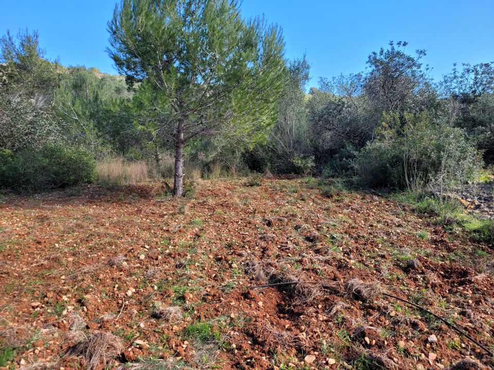 Helårsgrund i Denia, Alicante - foto 2