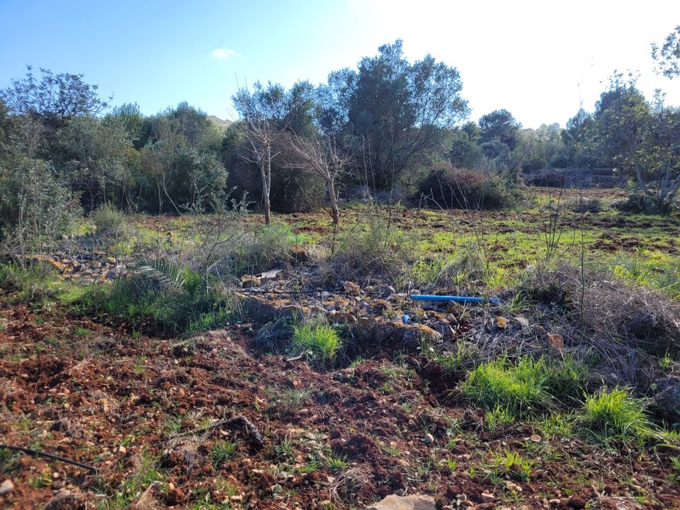 Helårsgrund i Denia, Alicante - foto 3
