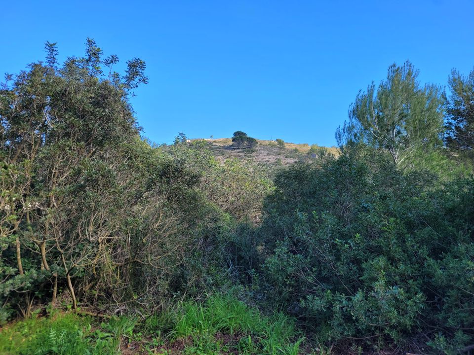 Helårsgrund i Denia, Alicante - foto 4
