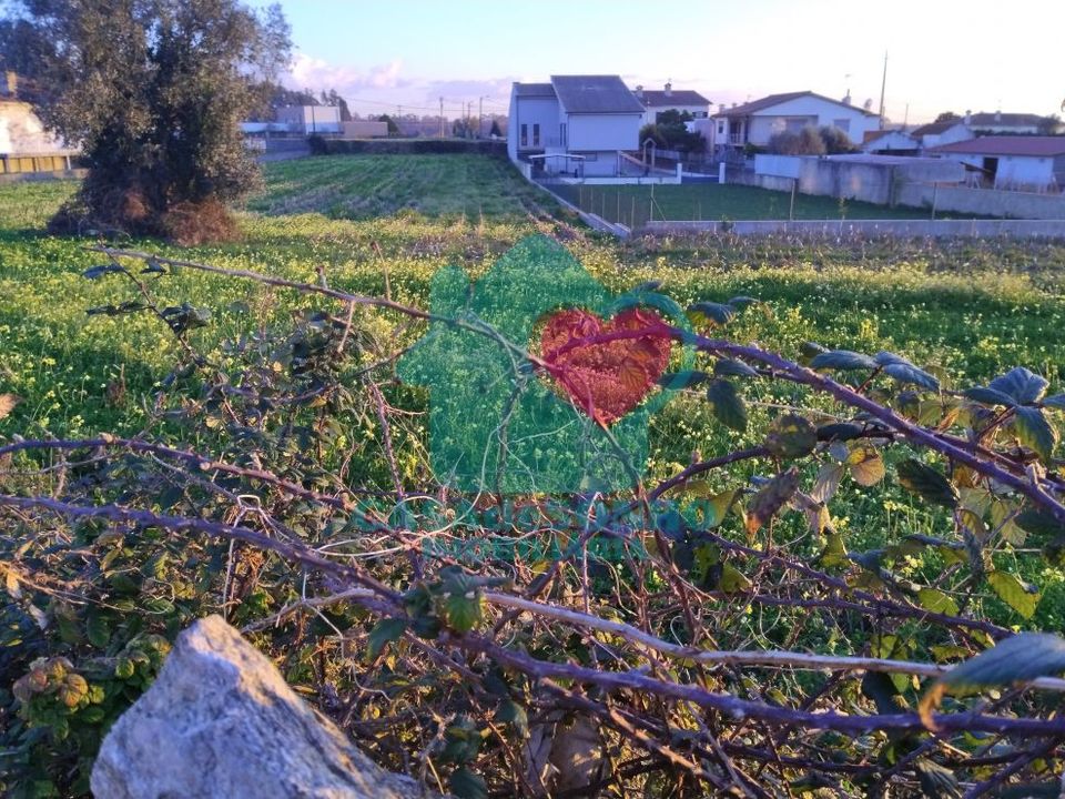 Helårsgrund i Albergaria-a-Velha, Aveiro - foto 3