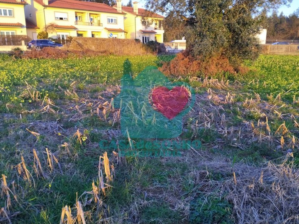Helårsgrund i Albergaria-a-Velha, Aveiro - foto 5