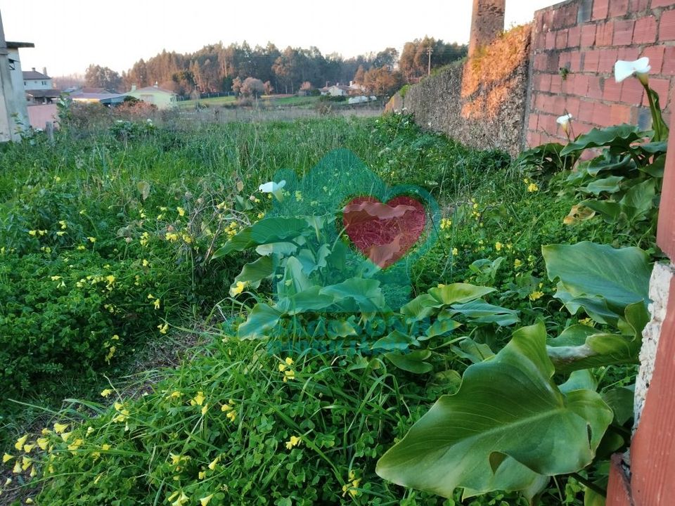Helårsgrund i Albergaria-a-Velha, Aveiro - foto 2