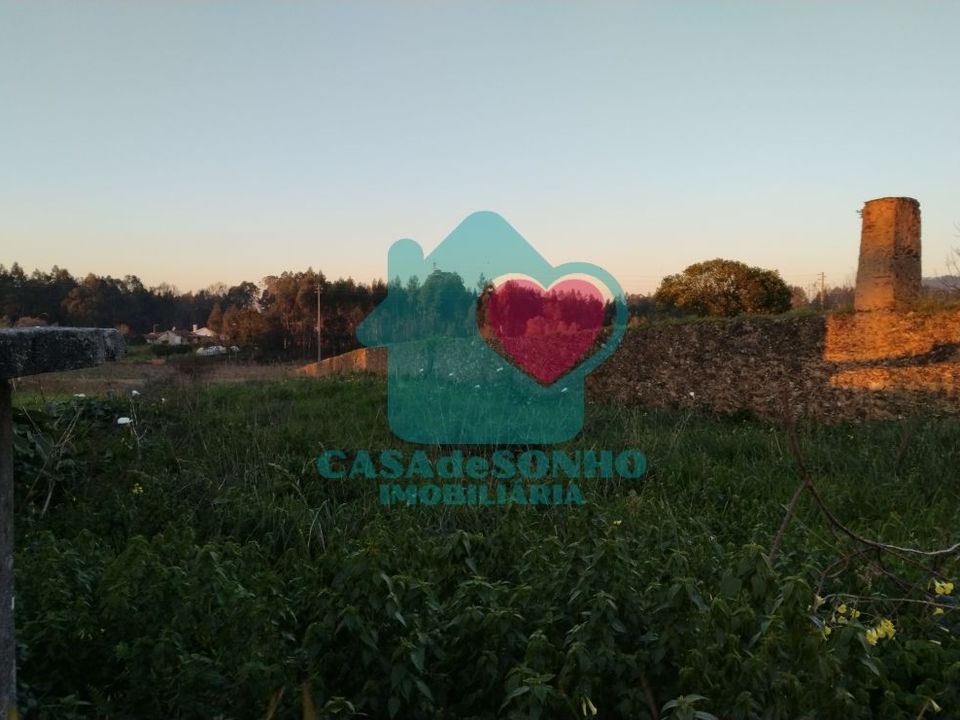 Helårsgrund i Albergaria-a-Velha, Aveiro - foto 3