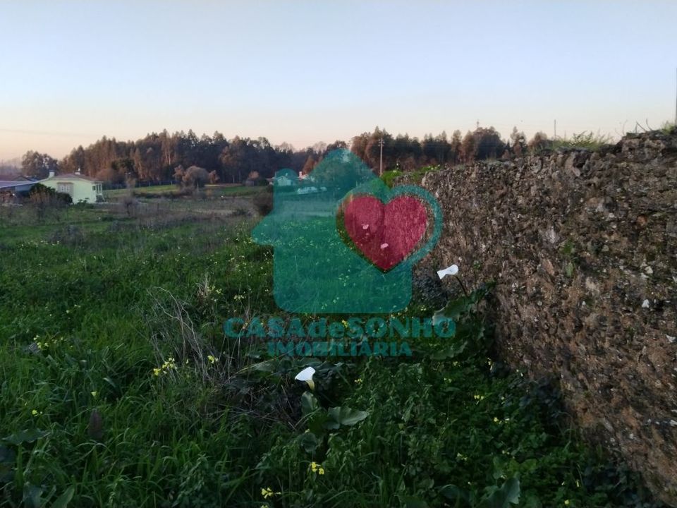 Helårsgrund i Albergaria-a-Velha, Aveiro - foto 5