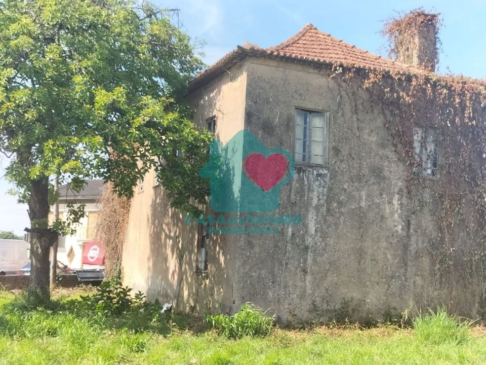 Landejendom i Albergaria-a-Velha, Aveiro - foto 3