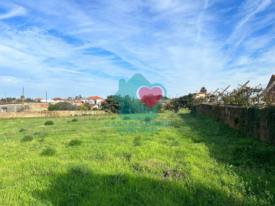 Helårsgrund i Albergaria-a-Velha, Aveiro - foto 3