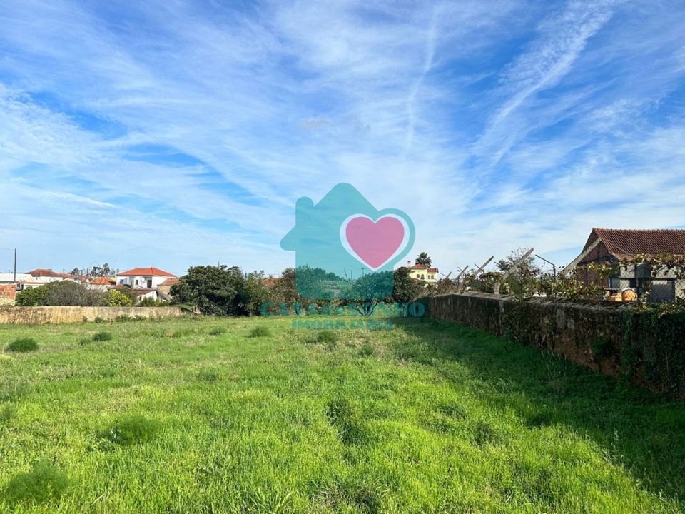 Helårsgrund i Albergaria-a-Velha, Aveiro - foto 4