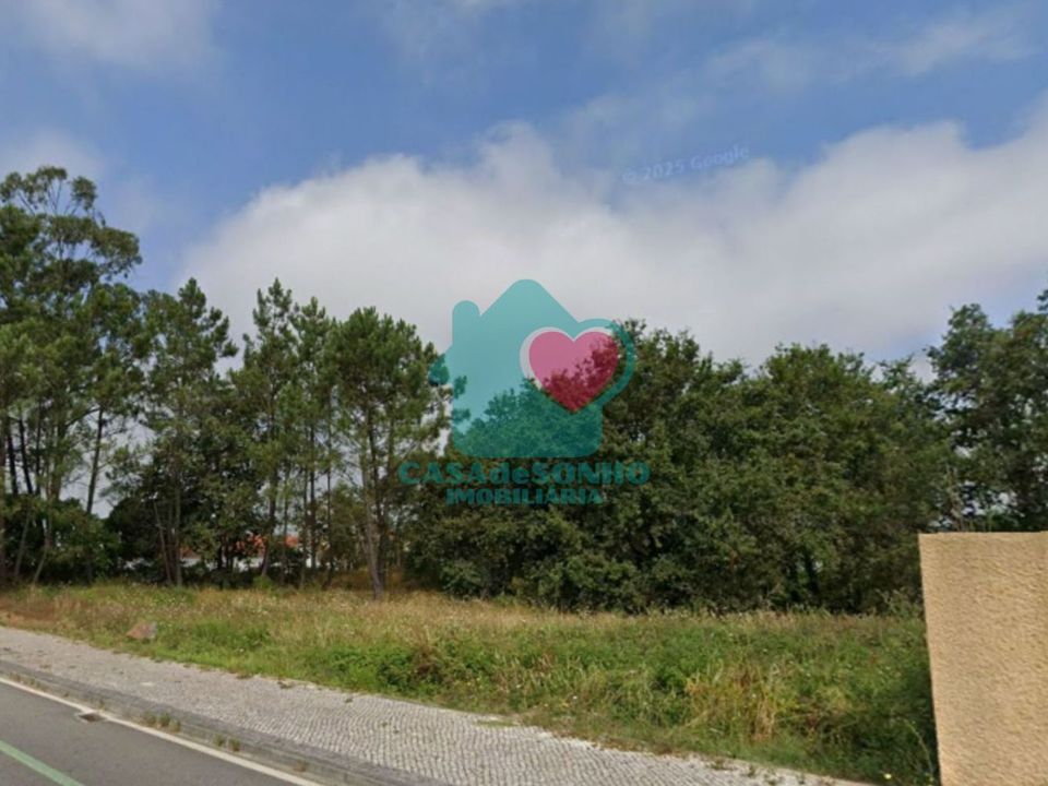 Helårsgrund i Albergaria-a-Velha, Aveiro - foto 4