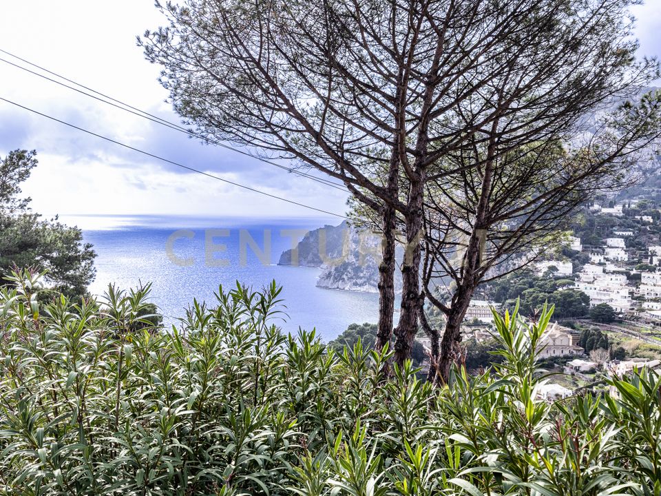 Villa i Capri, Naples - foto 4