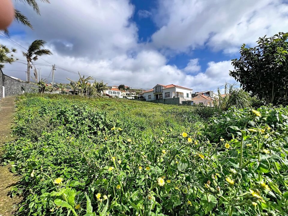 Helårsgrund i Ponta do Sol, Madeira - foto 5