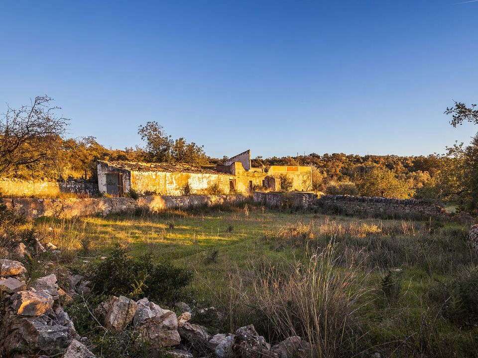 Helårsgrund i Santa Barbara de Nexe, Faro - foto 3