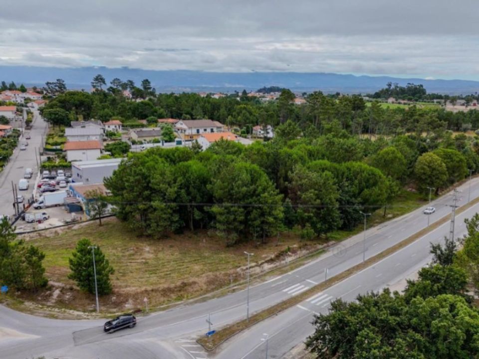 Działka: Nelas, Viseu – zdjęcie 1