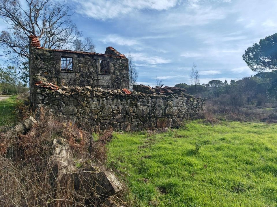 Erhvervsejendom i Mangualde, Viseu - foto 3