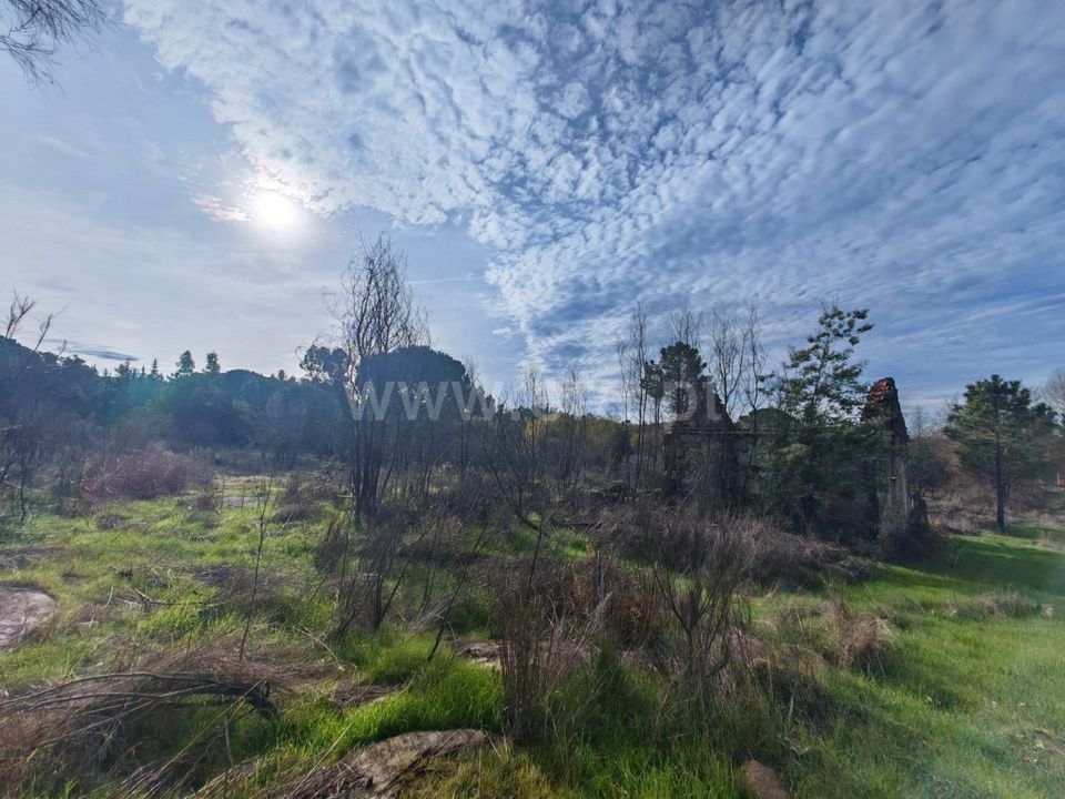Erhvervsejendom i Mangualde, Viseu - foto 4