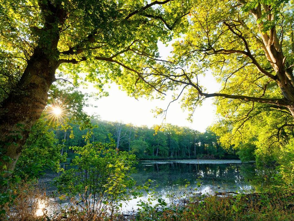 Helårsgrund i Orgerus, Yvelines - foto 2