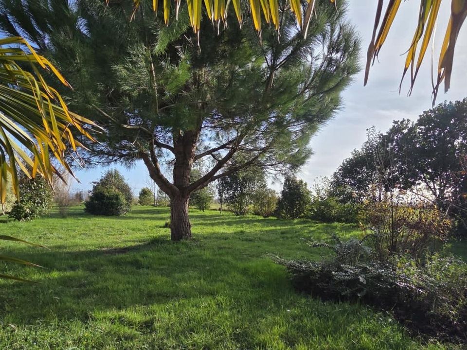 Villa i Saint-Fort-sur-Gironde, Charente-Maritime - foto 3