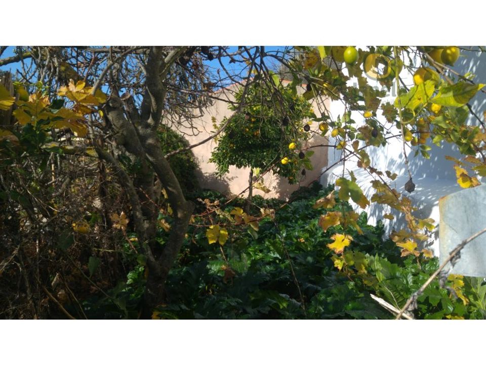 Landejendom i Alte, Faro - foto 2