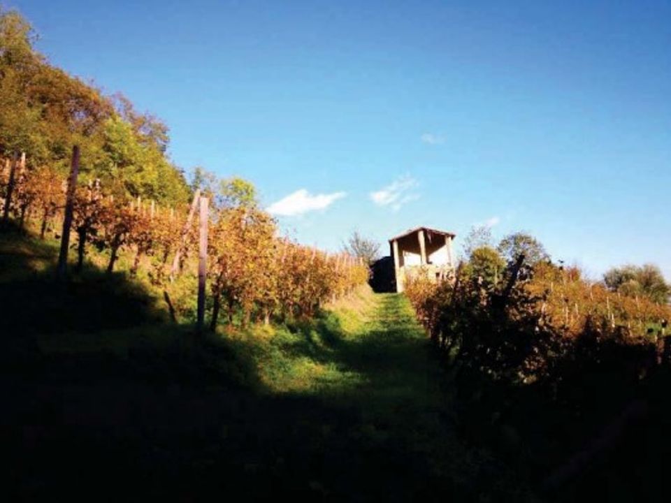 Helårsgrund i Refrontolo, Treviso - foto 4