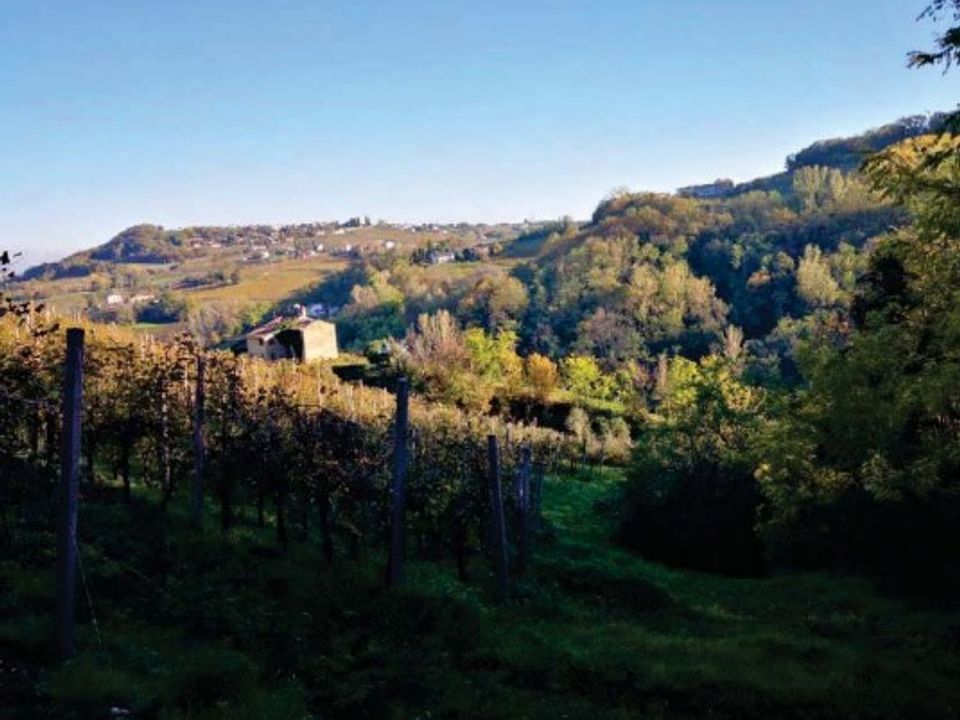 Helårsgrund i Refrontolo, Treviso - foto 5