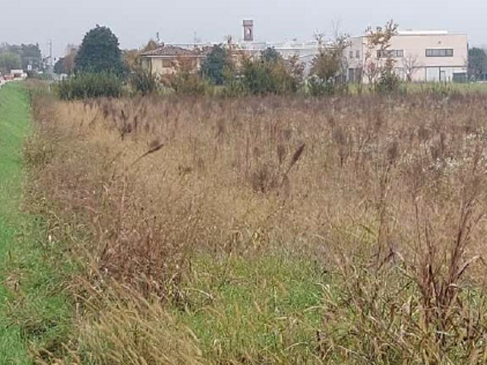 Helårsgrund i San Dona di Piave, Venice - foto 1