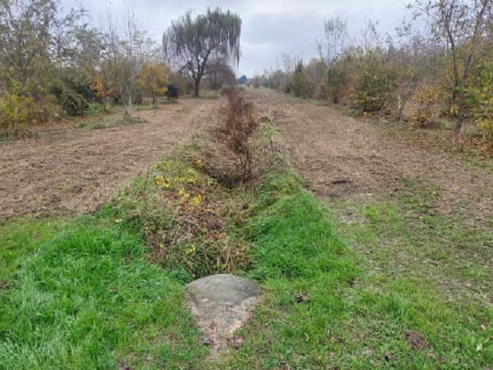Helårsgrund i San Dona di Piave, Venice - foto 3
