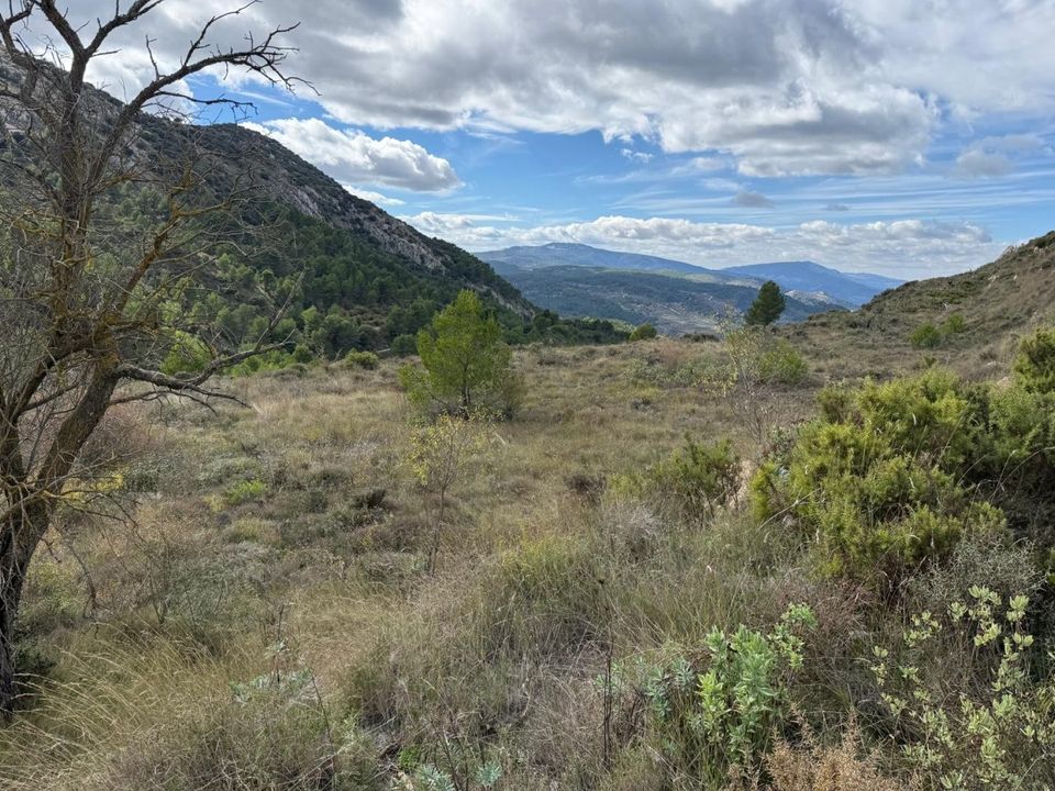 Terra a Confrides, Alicante - foto 3