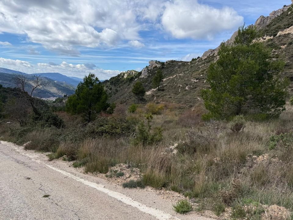 Terra a Confrides, Alicante - foto 4